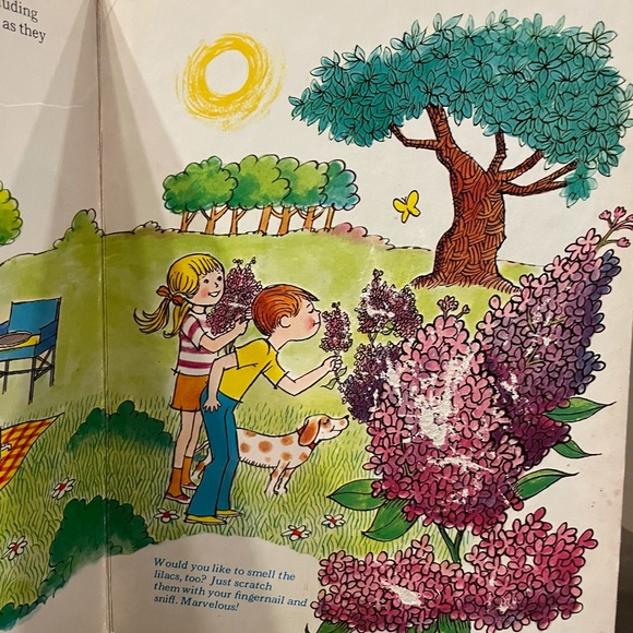 Let’s Go On A Picnic See Touch Books - Picture 3 of 5